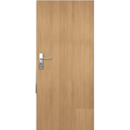 Vchodové dveře Naturel Entry levé 90 cm jilm ENTRYJ90L