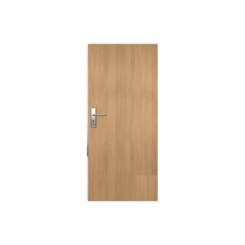 Vchodové dveře Naturel Entry pravé 90 cm jilm ENTRYJ90P