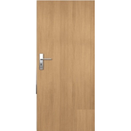 Vchodové dveře Naturel Entry pravé 90 cm jilm ENTRYJ90P